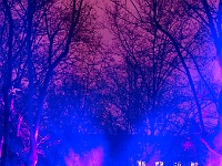 Place Colbert 3.jpg